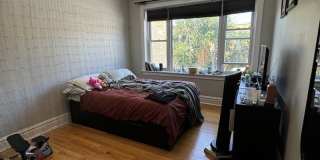 2912 N Albany Avenue Gallery 13
