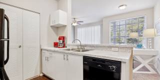 Vista Lake Ned Gallery 33