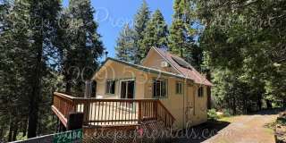 Spacious Twain Harte Sanctuary: Expansive 4-Bedroom Home with Solar Included! Gallery 1