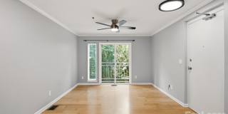 3921 Picasso Court Gallery 1