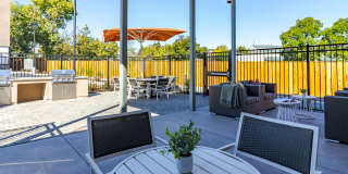 Aurora at Green Valley Gallery 22