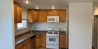 9403 LANSFORD STREET Gallery 2