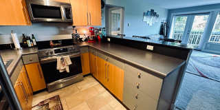 Sunny 1 bed 1 bath condo in Fremont Gallery 5
