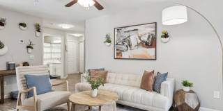 ReNew Marina Shores Gallery 2