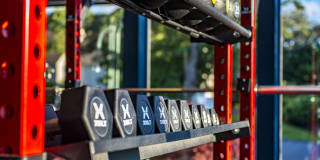 Halstead Beverly Townhomes Gallery 24