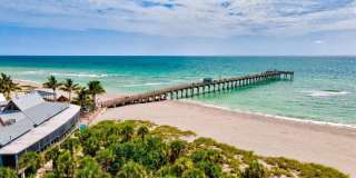 227 LYCHEE ROAD Gallery 19