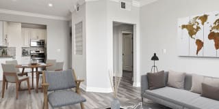 Palms Court Gallery 13