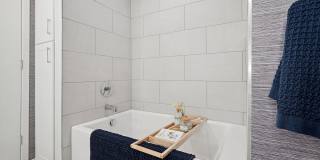 Society at Laurens Gallery 36