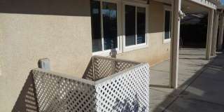 29137 Lighthouse Gallery 30