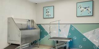 Sofi Belmar Gallery 4