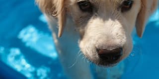 Avana Hamptons Gallery 37