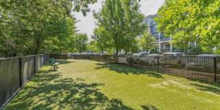 Watertown Mews Gallery 34