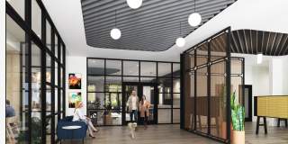 Alexan Chelmsford Gallery 11