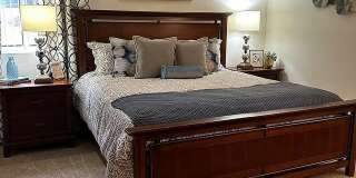 Plum Tree Gallery 10