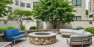 Valley and Bloom Gallery 25