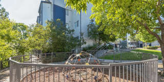 Osito Ridge Gallery 2