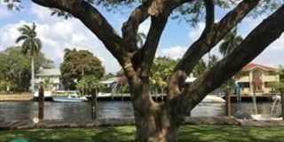 1001 Coconut Dr Gallery 1