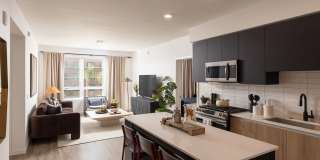 Orlo & Alba Gallery 33