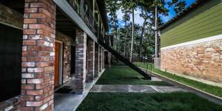 Spring Pine Gallery 36