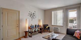 The Vintage Gallery 6