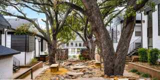Paxton at Lake Highlands Gallery 6