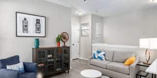 Elevate on Main Gallery 4