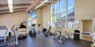 254 Sequoia Court Gallery 55