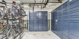 Oliver on LaSalle Gallery 5