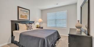 Eagle Chase Gallery 9