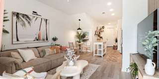 Welcome Canary Gallery 25