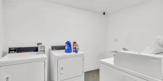109 Harrishof St Gallery 16