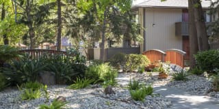 Birch Creek Gallery 27