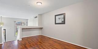 142 SANDY Lane Gallery 5