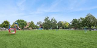 ReNew Poplar Creek Gallery 48