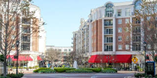 4808 Walden Court Gallery 25