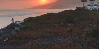 30838 Broad Beach Rd Gallery 20