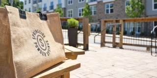 Springside Apartments Gallery 28