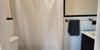 Amazing Coolidge Corner Apt w. Gas, Heat and Hot Water Included!  Sunny and Spacious.  Cat Friendly, Parking Avail Gallery 11