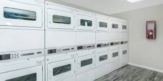 Rise Camelback Gallery 46