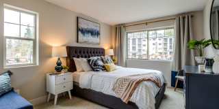 Vue Issaquah Gallery 6