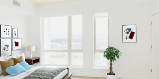 Cirrus Gallery 17