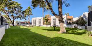 Tempe Vista Gallery 17