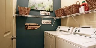 401 Teravista Gallery 12