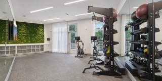 Revl Med Center Gallery 87