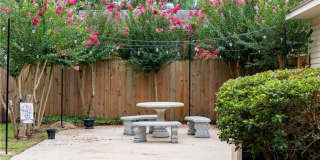1805 Wayne Lane Gallery 38