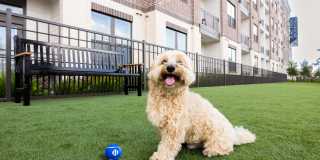 Alexan Junction Heights Gallery 7