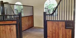 2583 Appaloosa Trail Gallery 5