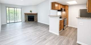 Beautifully Remodeled | 1 Bed · 1 Bath | Pet Friendly Gallery 4