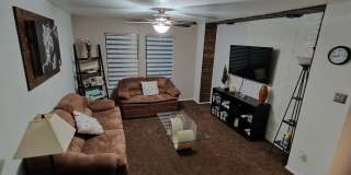 54 Basin Elm Gallery 11