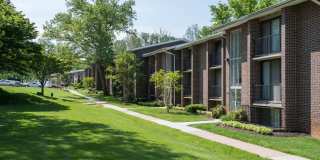 Hampton Manor Gallery 17